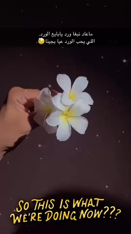 لمن رحت😓.#fyp #ذكريات #الشعب_الصيني_ماله_حل😂😂 #مالي_خلق_احط_هاشتاقات 