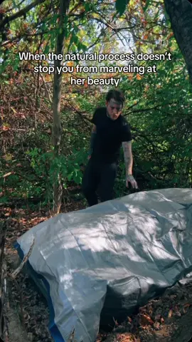 True love knows no bounds🖤🫣🪦 #foryou #psychopath #BookTok #darkromance #foryoupage 