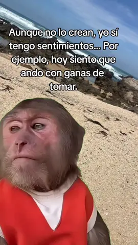 #Meme #MemeCut #CapCut 