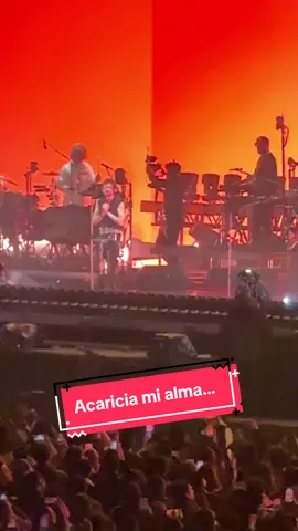 Acaricia mi alma, suaviza mi ser, esteriliza mi sangre y purifica mi amor… #zoe #corazonatomico #conciertos #Love #foryoupage 💙💚