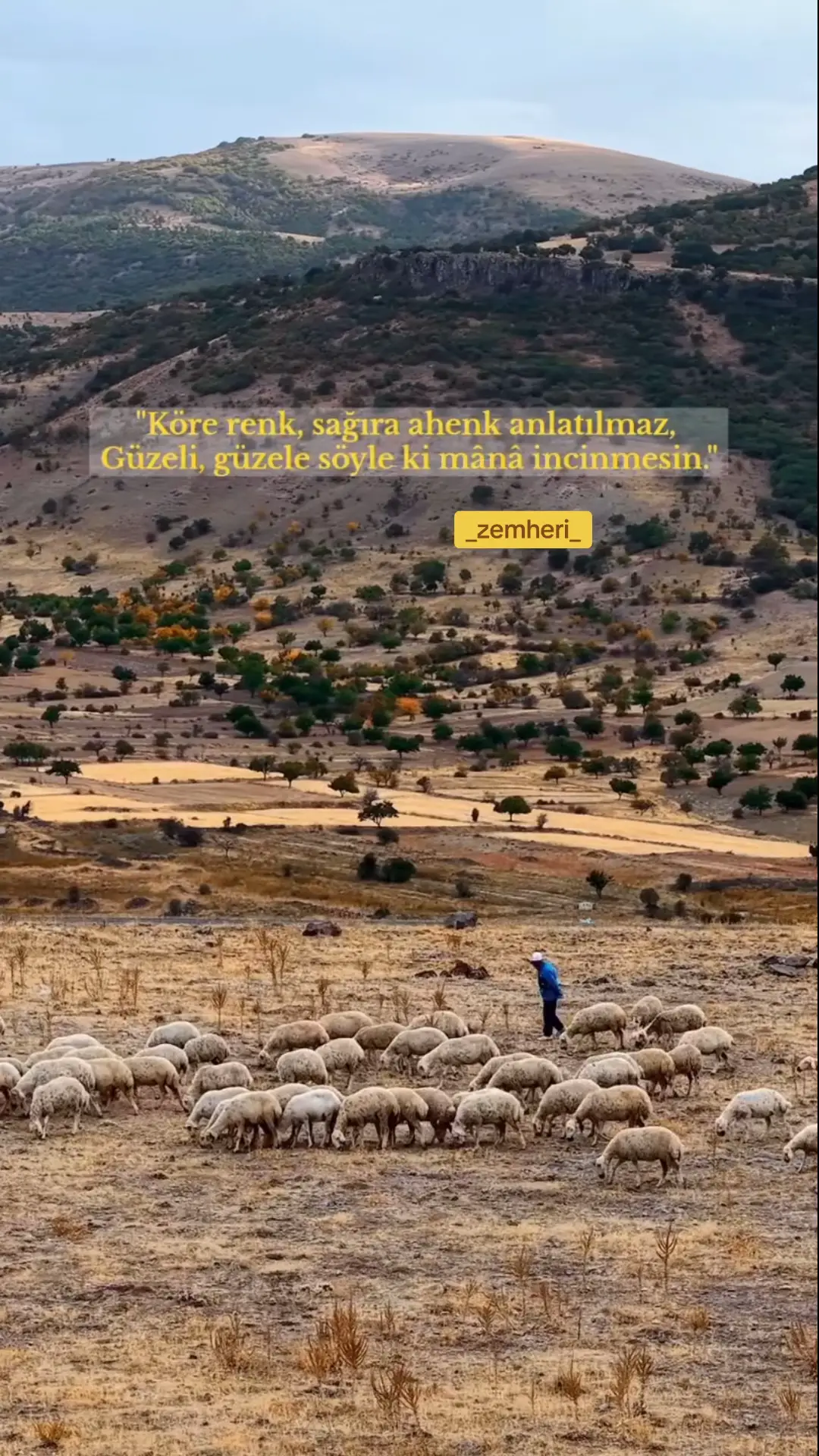 #kurdish #hozan 