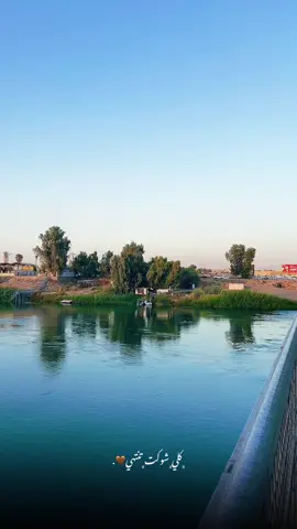 گلي شـۉڪت تنتهي 🤎.  #تصويري 