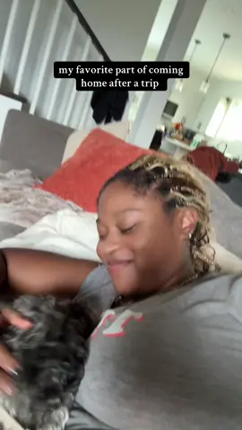 It’s the deep stares and tail wags 🥹🐾 #dogsofttiktok #blackdogmom #shihpoooftiktok #cominghometomydog #cominghome 