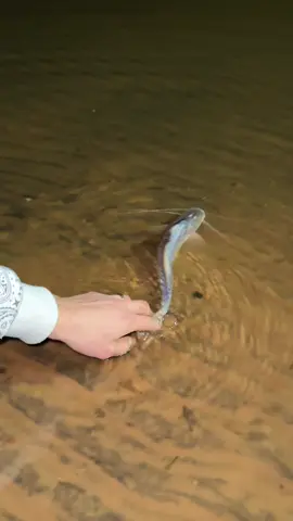 Se re para de mano el paticito 😂  #pasionporlapesca🎣 #humorpesca🐟 #riouruguay #momentosdepesca🎣🤣 #argentina🇦🇷 