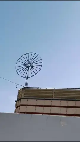 Contact For event Booking 0331-8000061 #light#lightdecoration be#shadilighting #virallighting#virul_video@Sajjad Electronics 💡💡💡 @Usman pixel led lighting @Saif Khan @nasir_light_official1 @Its_Ajmil03 @3dpixelpro @ADNAN ALI @Ahsan lighting harappa ساہیوال @Ali pixel light  النور لائٹ ہاؤس تونسہ