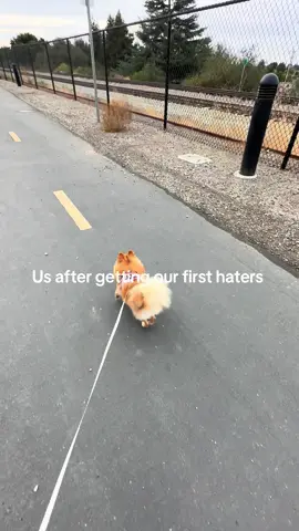 Carefree baddies💁🏼‍♀️#fypp #viral #relatable #haters #mircoinfluencer 