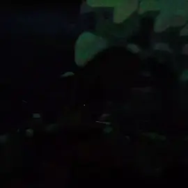 savior?? #ikaris #edit  #marvelzombies #marvel #eternals 