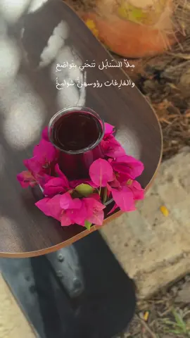 مِلأُالسّنابُل تَنحَني بِتَواضعٍ والفارِغات رؤوسهنًّ شَوامِخُ #اكسبلورexplore #fyp #چاي_عراقي #الشيخ_علي_المياحي 