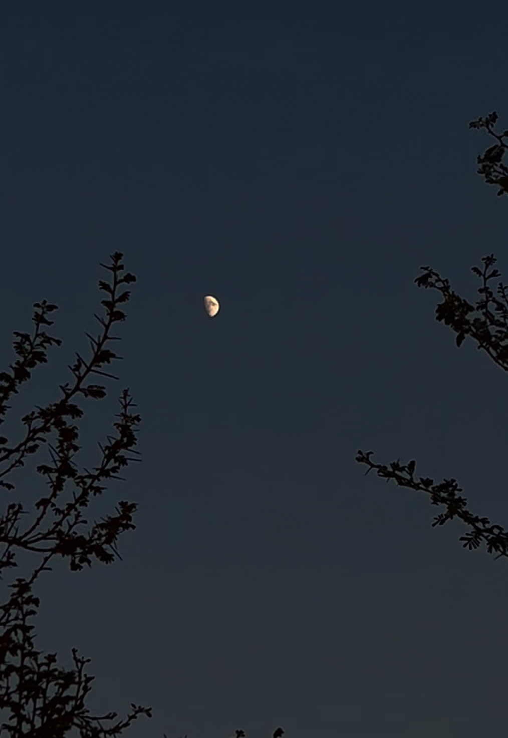 Sleeping is hard when your heart is sad. 🌔 #fypシ゚ #fypage #sunsetlover #moon #foryoupagе 