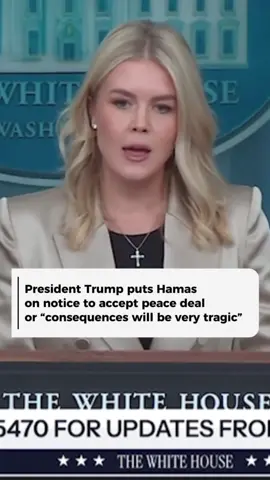 President a Trump has put Hamas on notice or the “consequences will be very tragic”. #gaza #palestine🇵🇸 #LearnOnTikTok #AprendeEnTikTok 