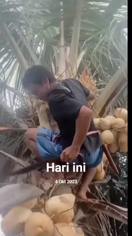 #padahariini #fyp #fypシ゚ #foryuopage #promoseruweekend 