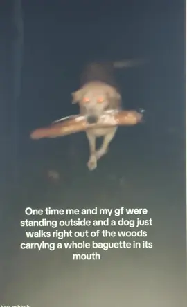 #foryourpage #funny #viral #funnytiktok #blowthisup 