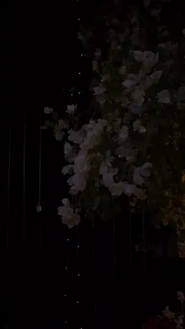 @𝙏𝙤𝙢𝙢𝙮 𝙎𝙝𝙚𝙡𝙗𝙮 Didaar Song by Kaka #songsthathitdifferent #songsthatgohard #foryou #viral #songoftheday 