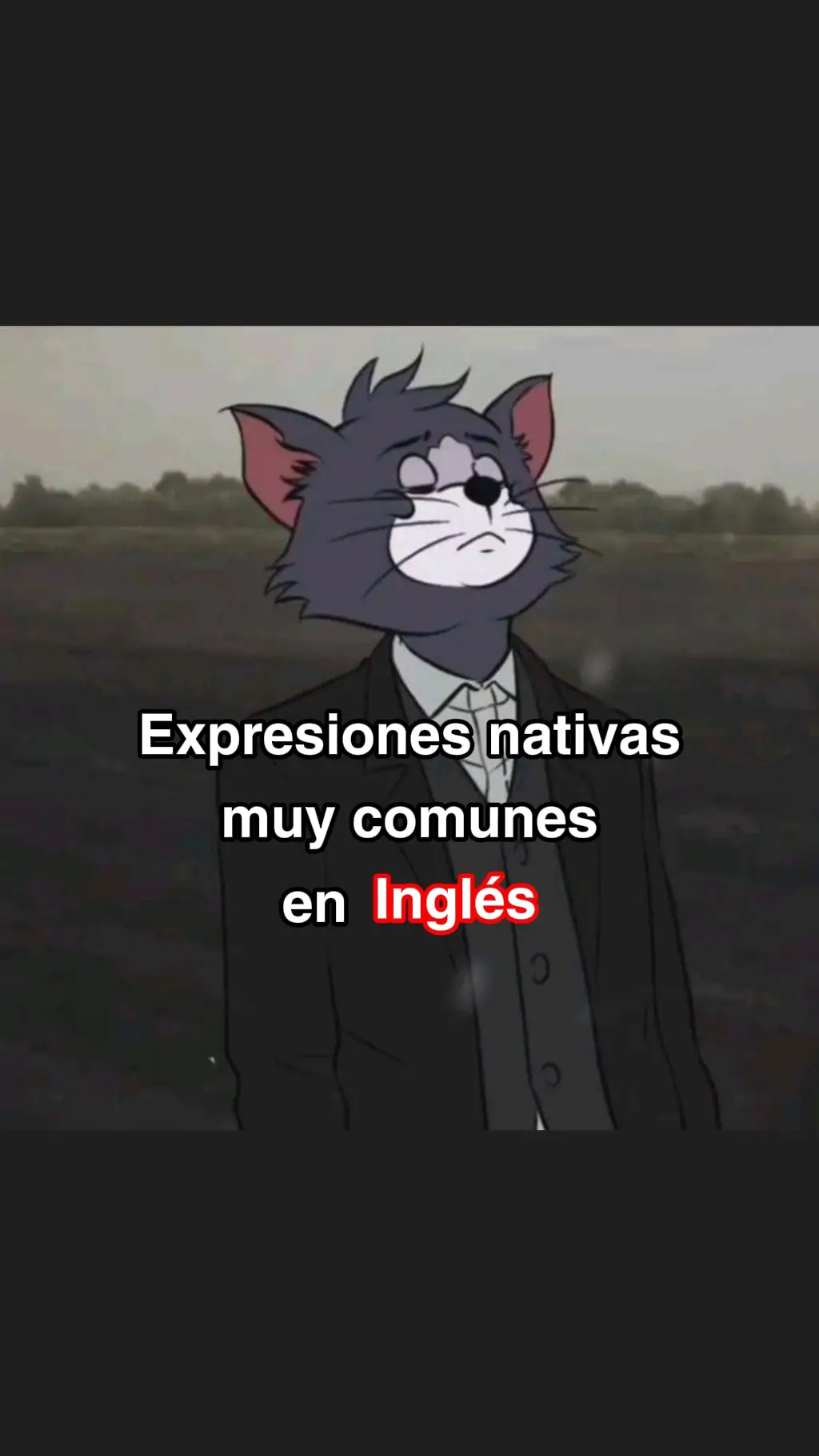¿Quieres sonar como un nativo? 🤩 Guarda estas 20 expresiones esenciales y úsalas en tu próxima conversación. Desde 