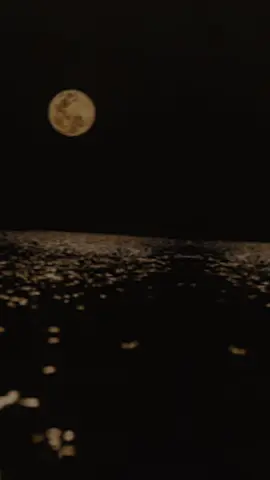 #CapCut  #بعض_النفوس_جمالها_جذاب  #اناشيد_بدون_موسیقی_نشيد_أكسبلور_ترند 