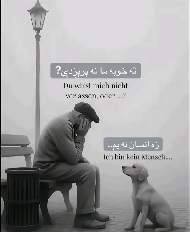 #پشتون_تاجیک_هزاره_ازبک_زنده_باد🇦🇫 @wahid @wahid 