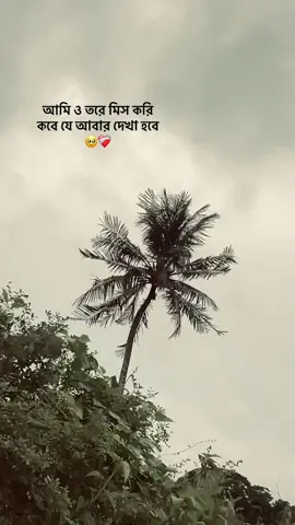আমি ও তরে মিস করি #outfitcowokberwarna 