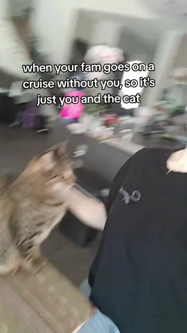 My cat is an emotional support animal at this point. #catsoftiktok #kitty #lonely #fyp #justthetwoofus 