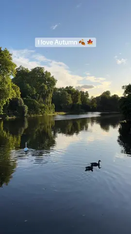 I love Autumn so much, and where better to enjoy it than in St James’s Park 🍂 🍁 #London #autumn #fall #fyp #Love 