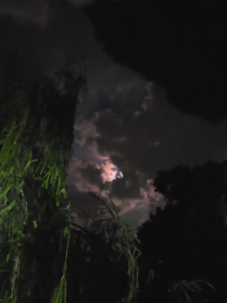 Night view #nature #fy #foryoupage 