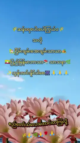 #ကောင်းခြင်းမဂ်လာအပေါင်းနဲ့ပြည့်စုံကြပါစေ #အသံချဲ့စက်ဝါသနာရှင်များမဂ်လာပါ#မူရင်းကိုcrdပေးပါတယ် #ရောက်စမ်းfypပေါ် 