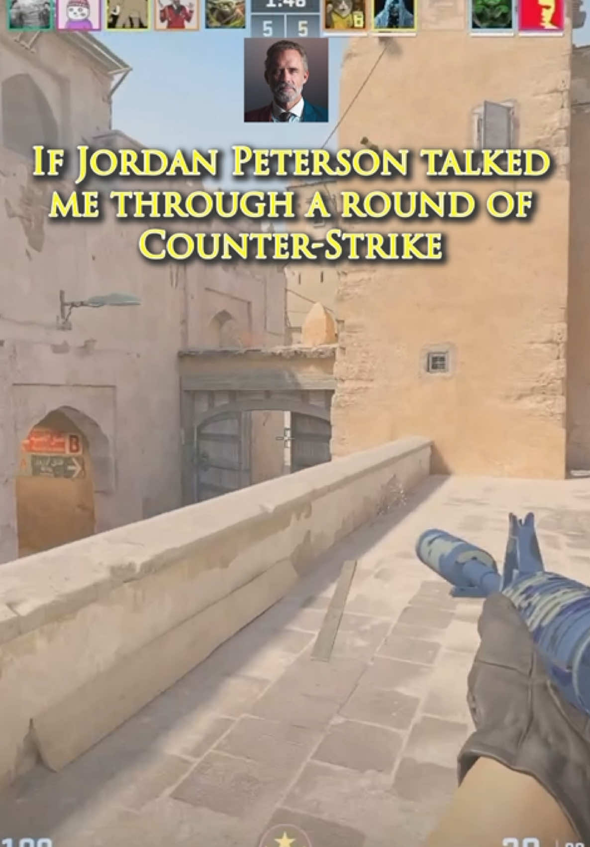 #jordanpeterson is an unequivocal inspiration to my clutchness #cs2 #pcgaming #parody #fypシ 