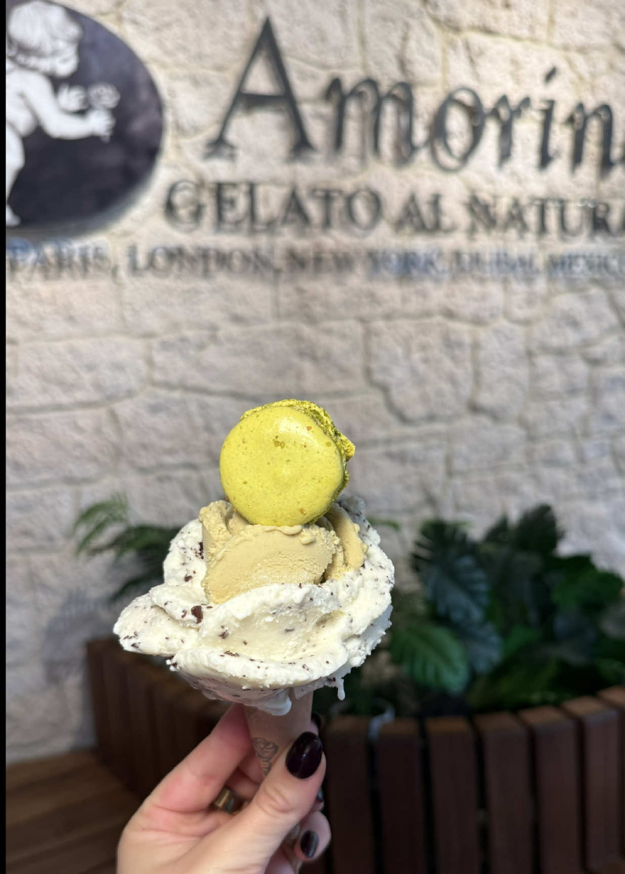 It’s giving she had an idea and unfortunately, it flopped 😂🫣 but on the plus side I tried 12 flavor at @amorinogelato and like most of them! I also learned you can try as many as you want and there is no limit on the flavors, you can get in your order, no matter what size 🍦  I went to the @s@shopkingofprussiamallocation and everyone was so nice, definitely check it out🥰 #t#thecityspoons#spoonapproveda#amorinomexicok#kopmall