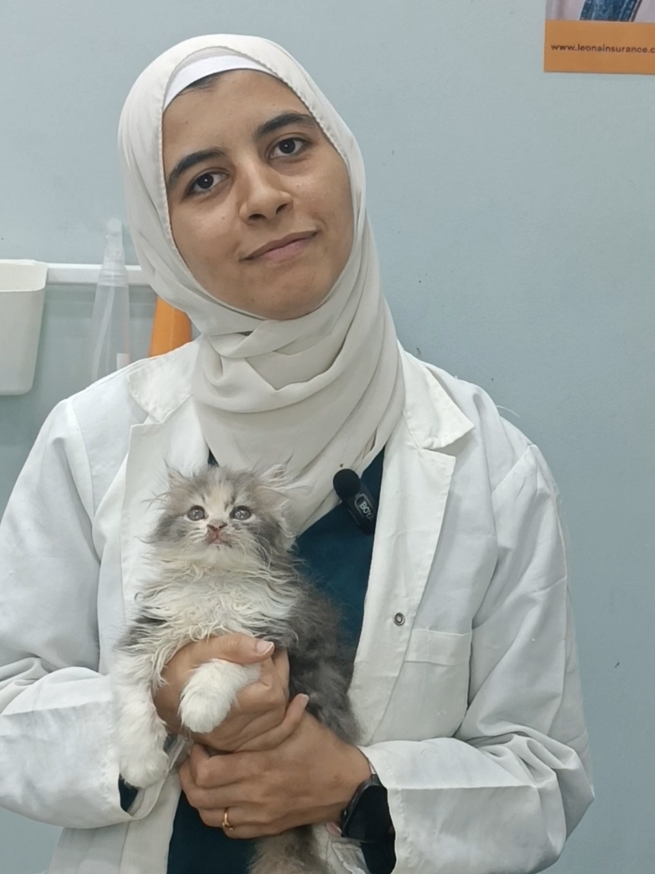 حساسيه القطط #fyp #cat #catsoftiktok #catlover 