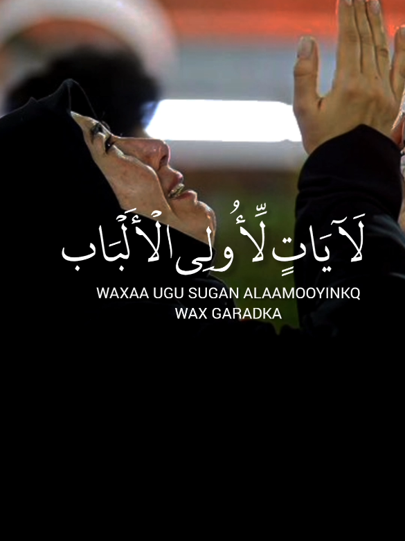 ان في خلق السماوات والارض محمدحسن المحسني #quran  #sharmavipes  #راحة  #somali 