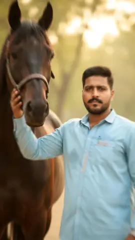 کچھ نہیں ملتا جتنی مرضی وفا کرلو کسی سے جب وقت وفا نہ کرے تو وفادار بھی بےوفا ہو جاتے ہیں#its_aeysha🥀#saniasohail🤍😘🦋34 #sohailahmadoffical34❤ #sohailgsohail34wale🇵🇰🥀☠️ #goraaya☘️group🔥PunjabPakistan34🍒 #🎭💯🦋goraaya😇34🤠wale🎭🙉 #saniasohail🤍😘🦋34 #sohailahmedofficial34❤👈🤍😘🦋✌ #Aisha🧬sohailSania22Mylovesaina❣️💯🍃 oraya34alla🦅🦅🦅 #its_ayesha💫🌸 #its_aeysha🍁 #its_sohail_goraaya☘️ #sohaillgoraaya34alla #❤️sohail_goraaya_💕34wale💞 #sohailahmadoffical34 #sohail_goraaya☠️☠️ 