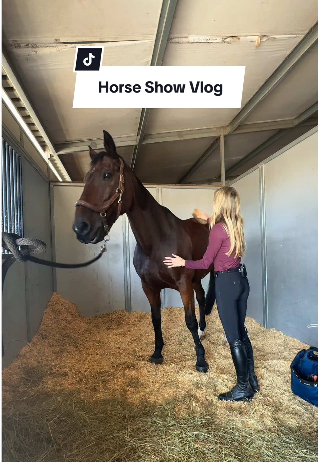 Having so much fun out here 💃 and so proud of Huey!! Thank you @dimpleshorsetreats for the goods <3  Outfit: @crinierelife breeches & belt, @milreybrand top,  @Ariat Ravello boots & @Dada Sport visor <3  #equestrianlife #horseshow #showjumping #equestriansport #equestrianfashion 
