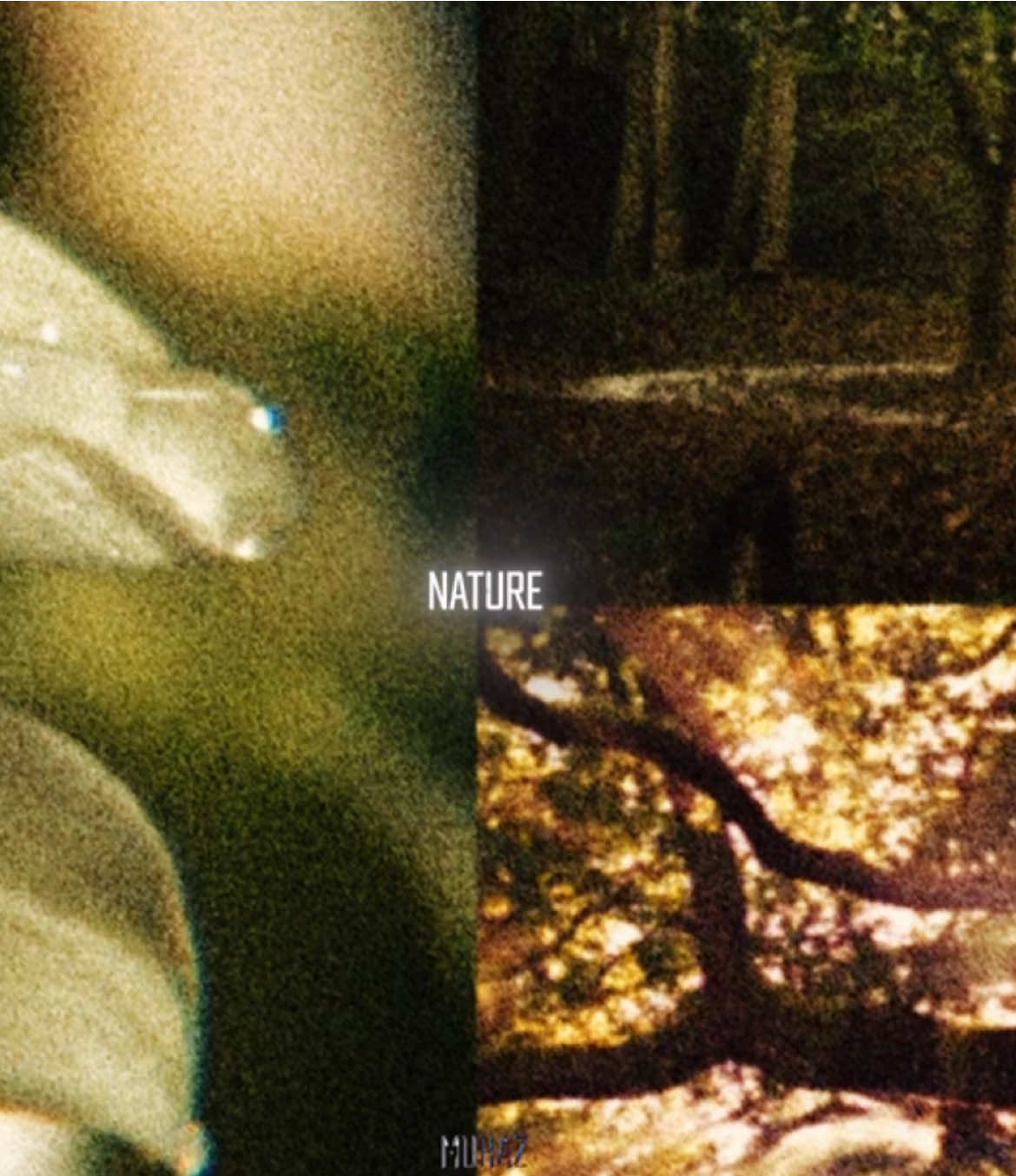 reposted: #flowedit #edit #fyp #nature #natureedit 