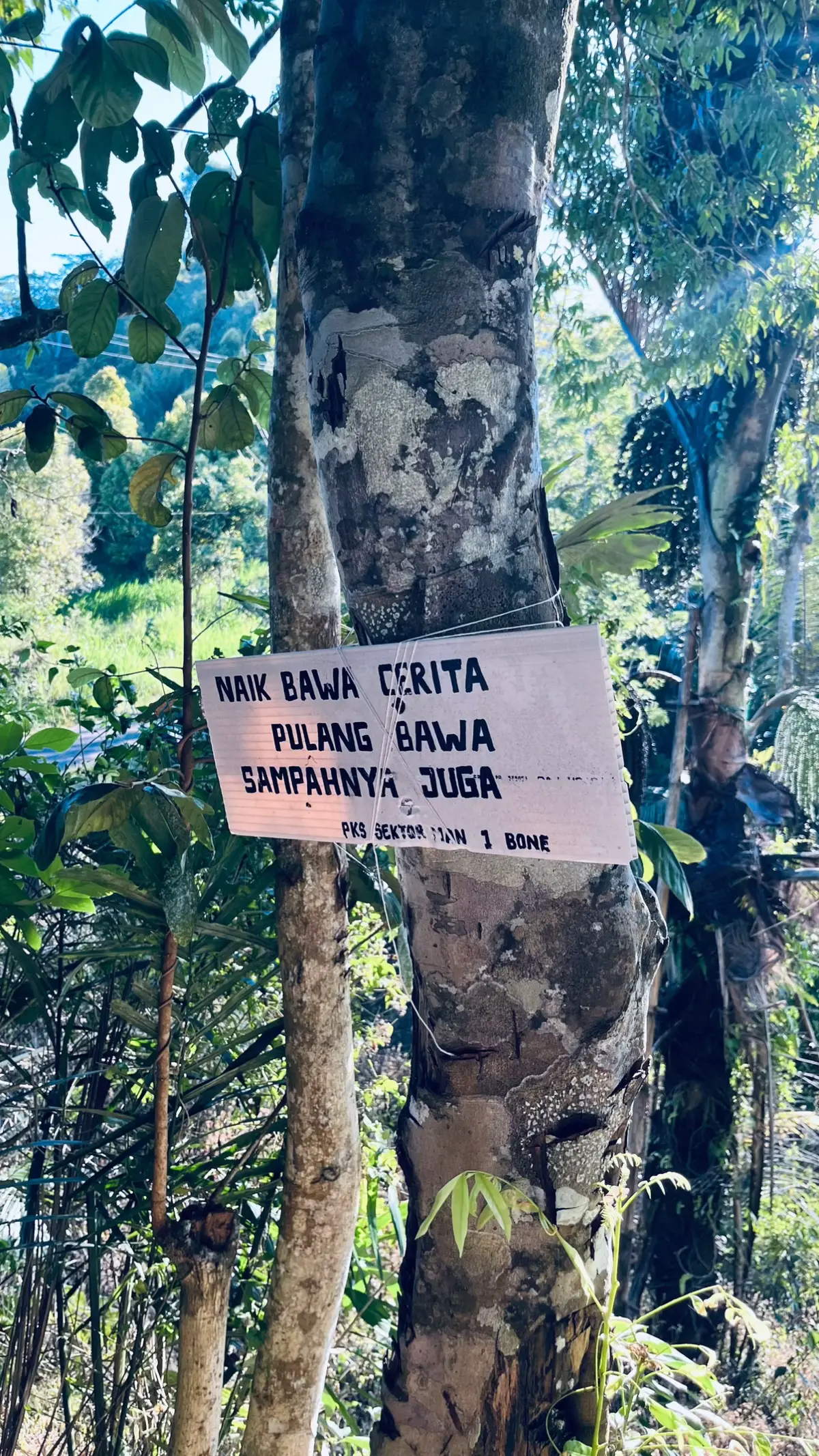 #buluponre #buluponre759mdpl #mendakigunung #fyp 