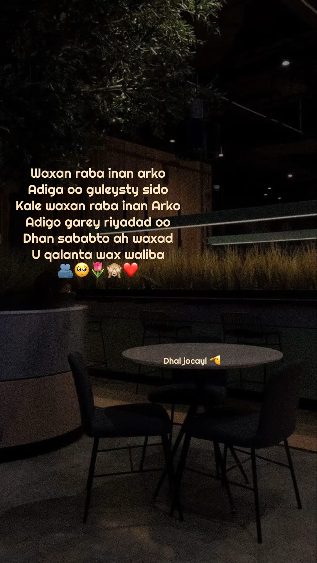 #fyppppppppppppppppppppppp #hiiliyaaa #fyp #somalitiltok #bayaxoow #caarif🤴🏽🌴 #abdiraxmaan_nasri #somalimusic 