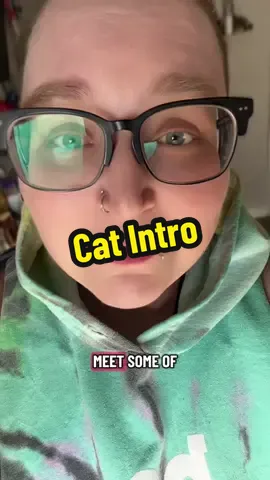 Cats make the world bearable. #cats #catmom #catsoftiktok 