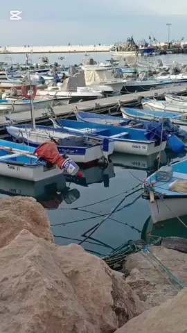 #الشعب_الصيني_ماله_حل #الشلفاوة_والحلاوة #الصيد البحري#تنس #سيدي مروان