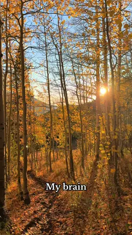 Just a constant repeat of the word “wow” 😂  . . #outdoortherapy #naturelover #mountainviews #outside #hikingadventures 