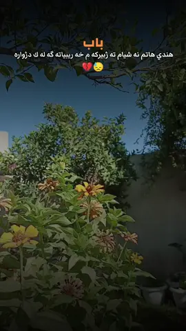 خه ريبياته يا دژواره 😓💔#sultan97💚 