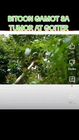 BITOON #bitoon  #BITOON  #bitoonherbal BITOON