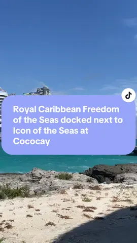 Royal Caribbean Freedom of the Seas docked next to Icon of the Seas at Cococay #royalcaribbean#iconoftgeseas#freedomoftheseas#cococay#cruisingkimberly1