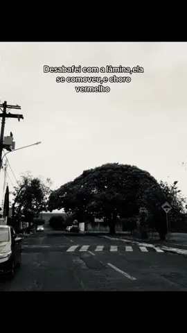 #viralvideos #vaiorafyyyyyycaramba #lamina #lisbon #cecilia 