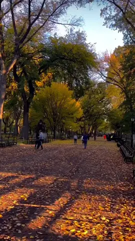 #kurdistan #slemani #❤️🌞💚 #payz #autum 