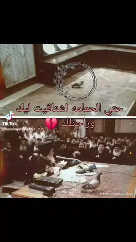 #حمامة#البابا -شنوده#🖤🖤🖤 