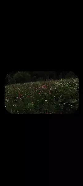 #كلا_ان_الانسان_ليطغى #محمد_صديق_المنشاوي #قران_كريم #allah #quran #الله #اللهم_صلي_على_نبينا_محمد #متابعه_ولايك_واكسبلور_فضلا_ليس_امر 