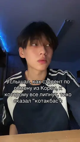 #врекомнндации 