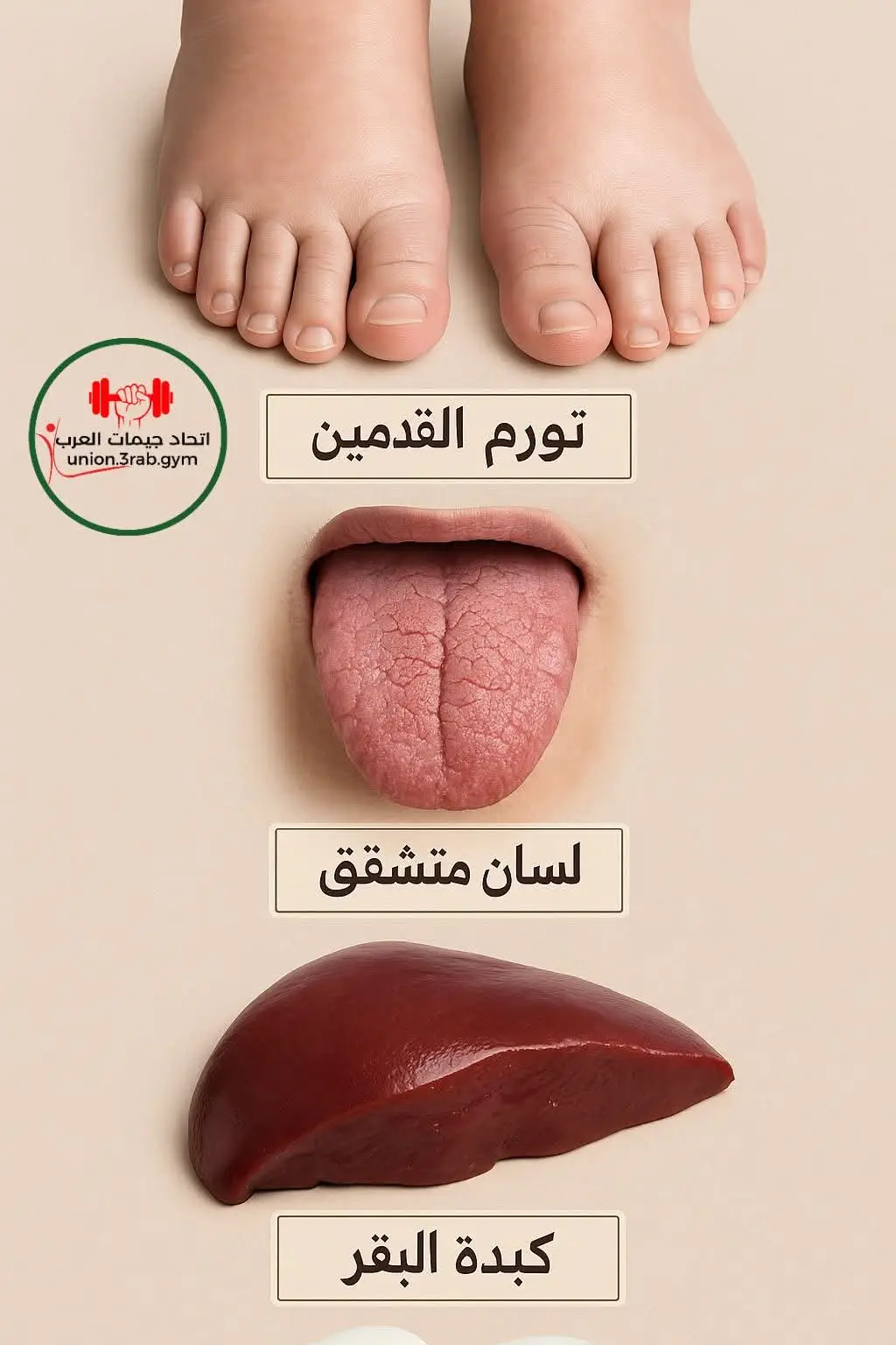 #vairal #fpy #foryoupageofficiall #اكسبلور #معلومات_مفيدة 