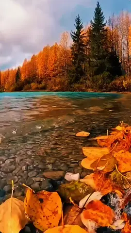 #autumnvibes #autumn 