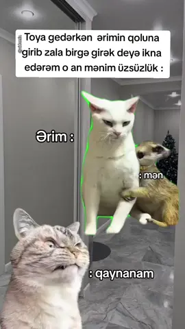 Qaynana ə biz burda nəyik saa verdiyim süd haramin olsun #CapCut #Meme #MemeCut #fyp 