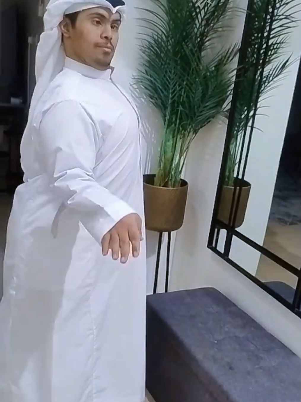 رقصة الفقمة🦭