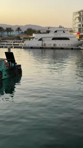 واحة أيلة العقبه ثغر الاردن الباسم 🇯🇴#المملكة_الاردنية_الهاشمية🇯🇴 #العقبه #تصويري #سياحه 